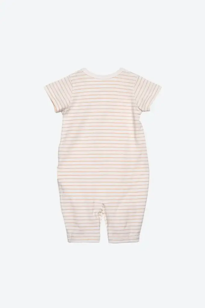 STRIPEDBODY-02BR2.webp