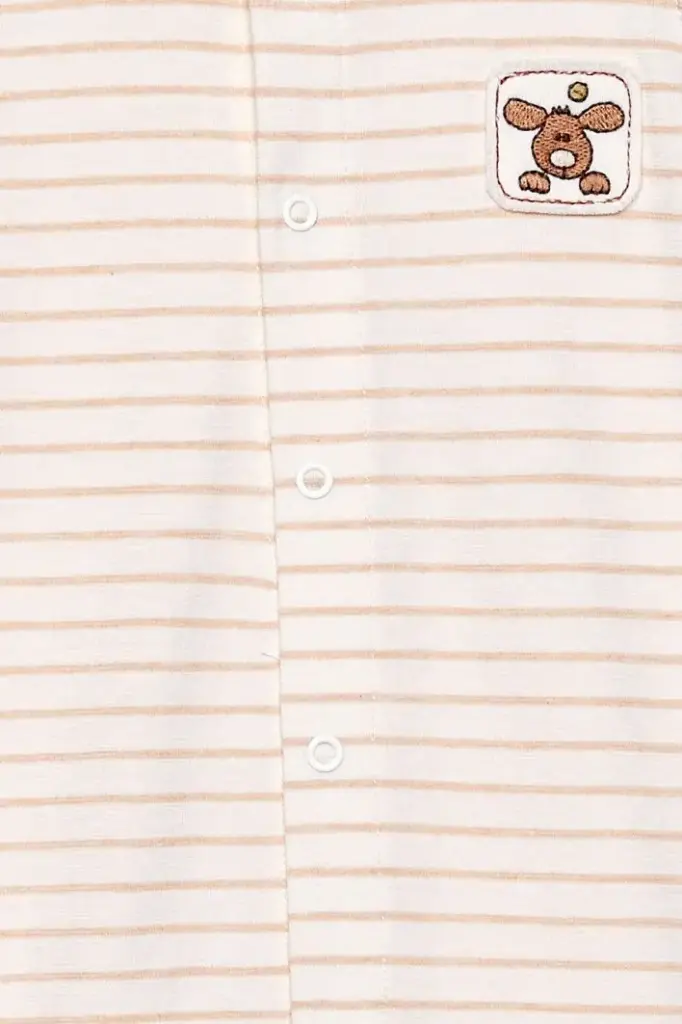 STRIPEDBODY-02BR1.webp