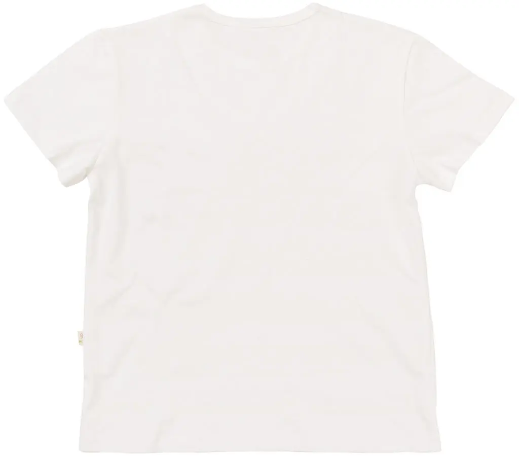 2.webp